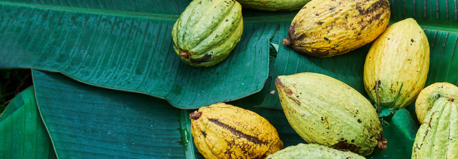 Fairtrade at