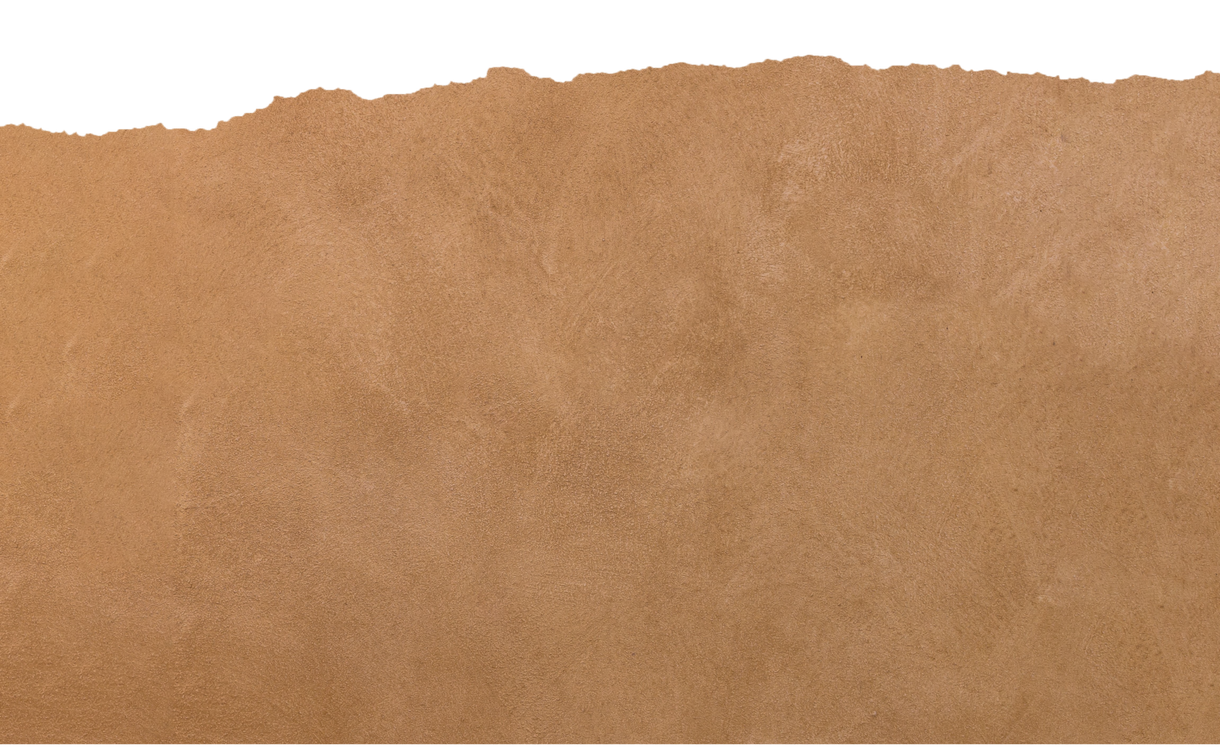 Ripped paper background